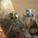 DSCN6329.webp