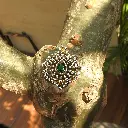 DSCN6348.webp