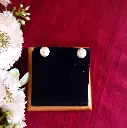 Classic Pearl Drops