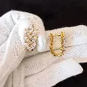 Sparkling Leaf Earrings
