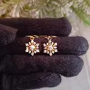 Sparkling Snowflake Earrings
