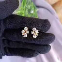 Crystal Earrings