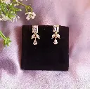 Flies Drop Earrings