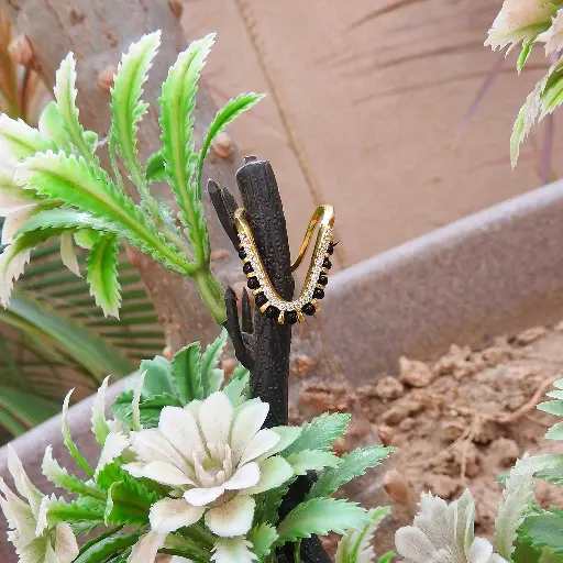 Shreya Vanki Ring